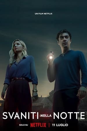 Bir Gece Ansızın Türkçe dublaj izle