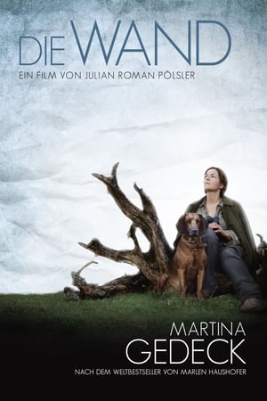 Die Wand Türkçe dublaj izle
