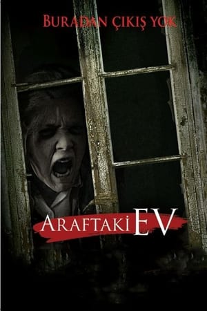 Araftaki Ev Türkçe dublaj izle