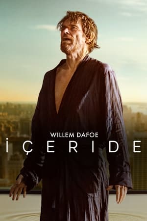 İçeride Türkçe dublaj izle