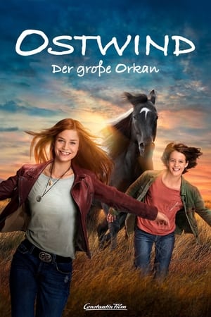 Kasırga 5 – Büyük Kasırga Türkçe dublaj izle