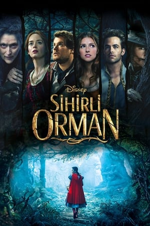 Sihirli Orman Türkçe dublaj izle