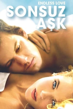 Sonsuz Aşk Türkçe Dublaj izle
