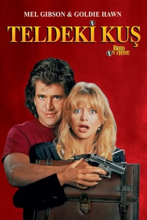 Teldeki Kuş Türkçe Dublaj izle