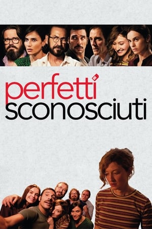 Mükemmel Yabancılar  Türkçe dublaj izle