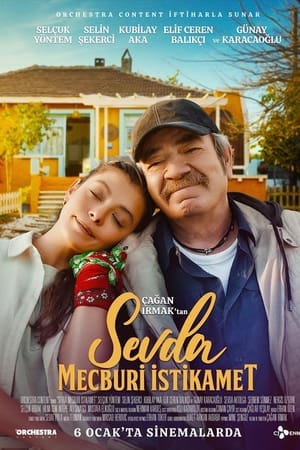 Sevda Mecburi İstikamet
