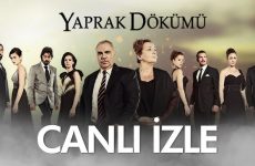 Yaprak Dökümü