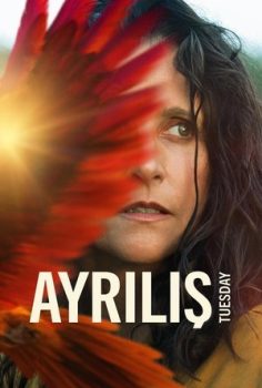 Ayrılış
