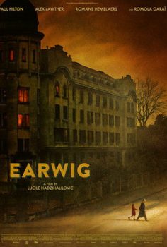 Earwig